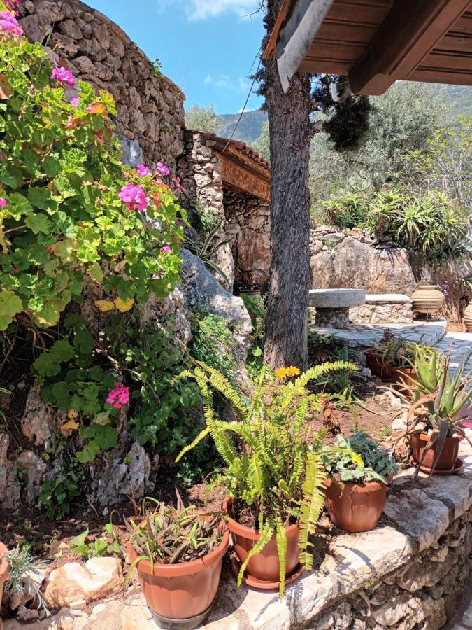 Aphrodite'S Maisonette On Corfu Island Barbati Exterior photo
